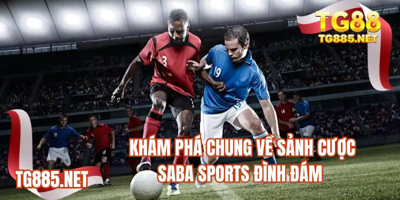 Khám phá chung về sảnh cược Saba sports đình đám