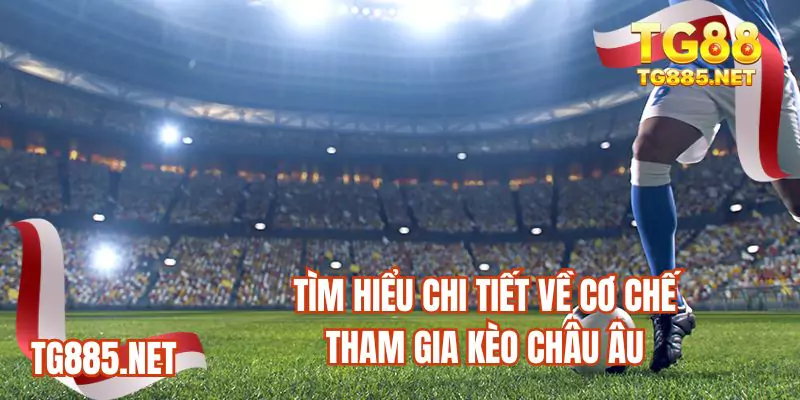 Tìm hiểu chi tiết về cơ chế tham gia kèo Châu Âu