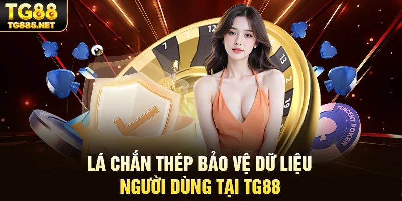 Lá chắn thép bảo vệ dữ liệu người dùng tại TG88